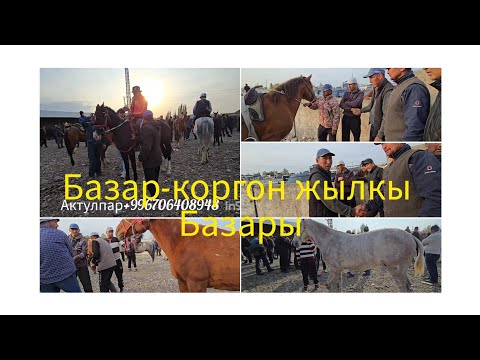 Видео: 13 октября 2024 г.Базар_коргон жылкы базары алынган сатылган баалар