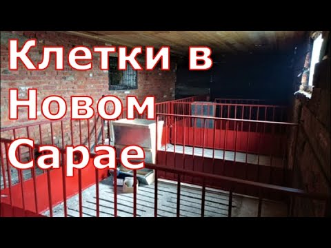 Видео: Клетки в новый сарай для поросят