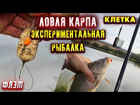 Видео: Экспериментальная рыбалка на карпа на флэт фидер