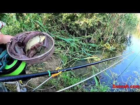 Видео: Малко екшън от баластниера Пет Могили