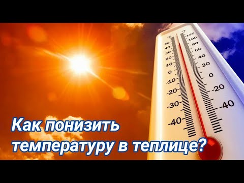 Видео: Способы понижения температуры в теплице! Экстренная помощь растениям.