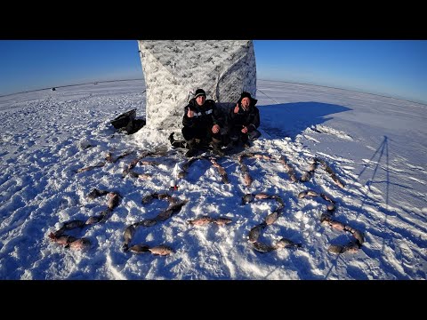 Видео: ОТЛИЧНОЕ ЗАВЕРШЕНИЕ 2022 ГОДА! РЫБАЛКА на озере УЕЛГИ! Рыбалка на Карася! Отчёт от 24.12.2022 года