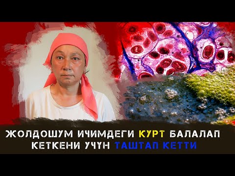 Видео: 4 балам үчүн жашагым келет... / Венера жардамга муктаж