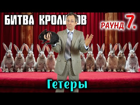 Видео: Битва кроликов. Раунд 7. Гетеры