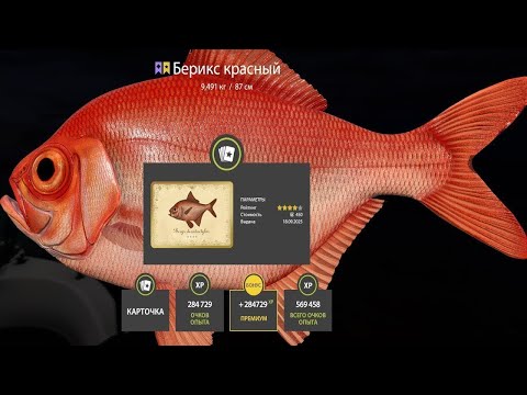 Видео: 📢СТРИМ РР4🔥ПЯТНИЦА.УТРО.МОРЕ.ВСЕМ ПО ТРОФЕЮ🔥РУССКАЯ РЫБАЛКА 4