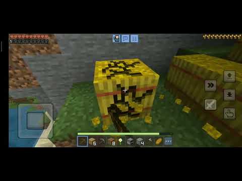 Видео: 24 октября 2025 г.