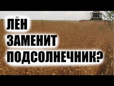Видео: Как заработать на льне и отказаться от подсолнечника?