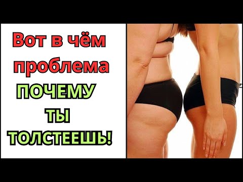 Видео: 5 - основных ПРИЧИН набора ВЕСА! Что ты делаешь не так? Ответ на ваши вопросы!