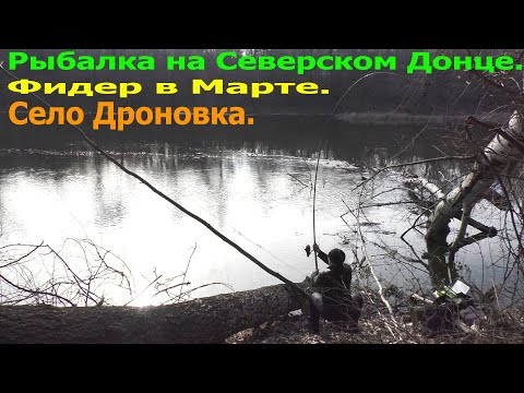 Видео: Рыбалка на Северском Донце. Фидер в Марте. Село Дроновка.