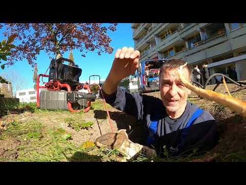 Видео: Kempinger 474. Я стар, но все еще слишком горд, чтобы отказаться от корня длиной 10 м.