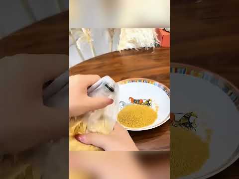 Видео: ♻️ 10 способов превратить пластиковые бутылки в полезные вещи!