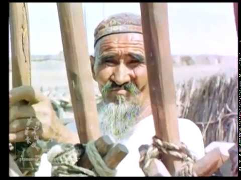 Видео: ЮРТА КАРАКАЛПАКОВ