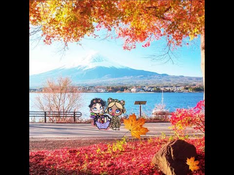 Видео: празнуем Хэллоуин🧡🎃