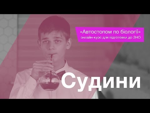 Видео: Судини – Підготовка до ЗНО – Біологія