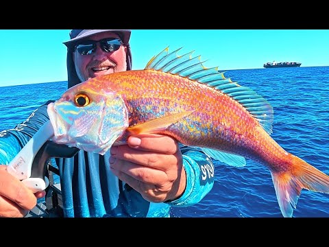 Видео: Мы поймали новый вид рыбы!