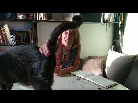 Видео: 🔥 ЧТО ХОЧЕТ ОТ МЕНЯ МОЙ ПАРТНЕР. Гадание таро