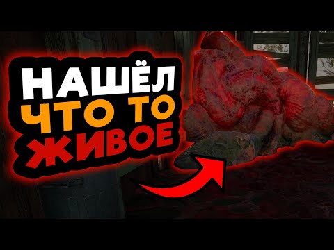 Видео: ИГРА ПРЕОБРАЗИЛАСЬ ➲ Mist Survival