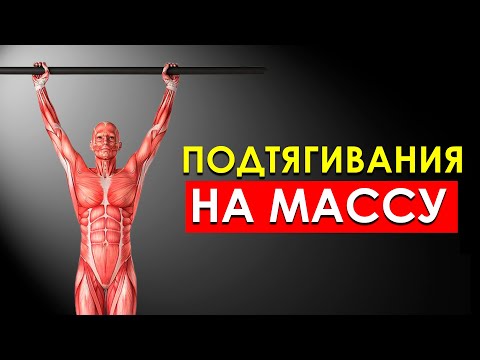 Видео: Сколько Нужно Подтягиваться в День, Чтобы Набрать Мышечную Массу?