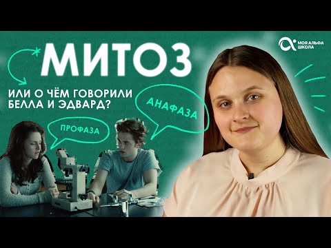 Видео: МИТОЗ — что это? Разбираем фазы митоза 🤔 | БИОЛОГИЯ