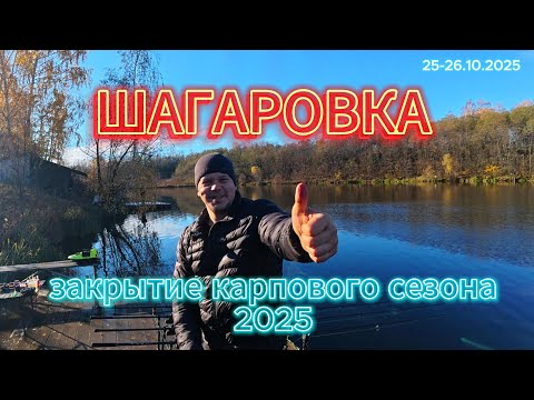 Видео: ШАГАРОВКА Закрытие карпового сезона 2025