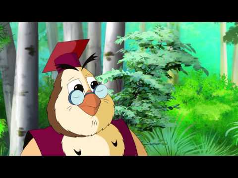 Видео: Уроки живой природы. Медведи.