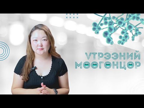 Видео: Үтрээний мөөгөнцөр