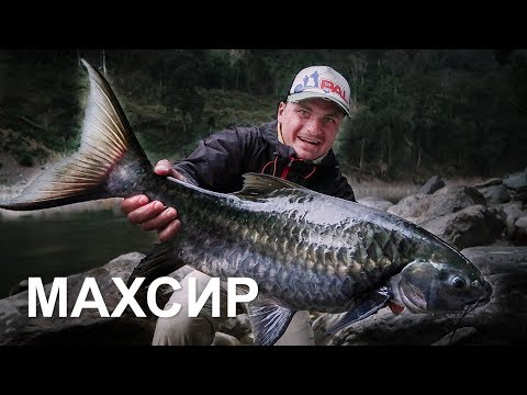 Видео: Гималаи. Сплав. Ловля трофейного МАХСИРА. Часть первая