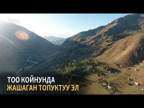 Видео: Тоо койнунда жашаган топуктуу эл