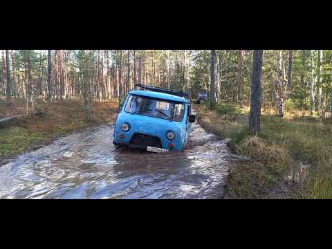 Видео: ЛЭП МАРШРУТ С КОТОРОГО МЫ РАЗВЕРНУЛИСЬ!!