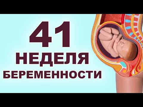 Видео: Что происходит с ребёнком и мамой на 41 неделе беременности?  Последние дни перед родами.