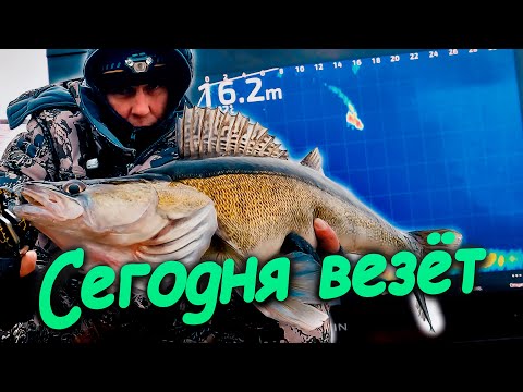 Видео: Сегодня удачный день. СУДАКИ МОНСТРЫ на СПИННИНГ