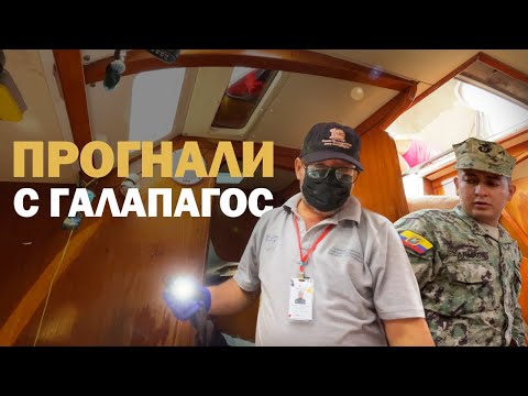 Видео: [32] ПОЧЕМУ НЕ ПУСКАЮТ, СКОЛЬКО СТОЯТ ГАЛАПАГОСЫ | Яхтинг, чекин, бюрократия