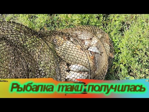 Видео: если долго мучится , что нибудь получится /Днестр /Маяки / 17-18 июня 2023