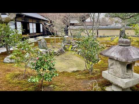 Видео: Дзен-сад с духом Сен-но Рикю | Мох и Карэсансуй в Обай-ин
