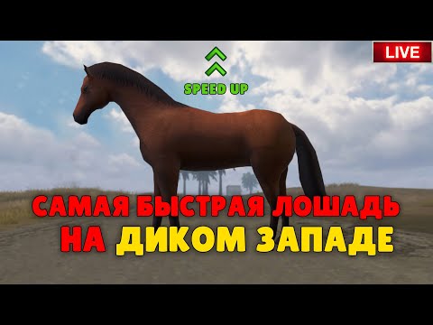 Видео: Делаем быстрого коня в Last island of Survival.#LIOS#LDRS#RustMobile