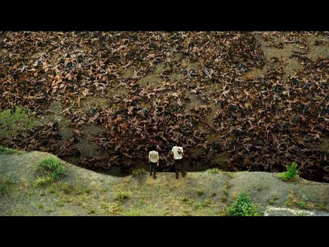 Видео: ВИРУСТАН ӘЛЕМ ҮЛКЕН ҚАБІРГЕ АЙНАЛДЫ