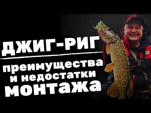 Видео: ДЖИГ-РИГ: ПРЕИМУЩЕСТВА И НЕДОСТАТКИ монтажа. Как подобрать груз и приманку, какие проводки работают?