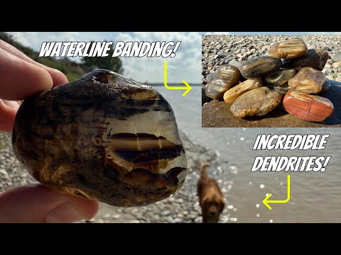 Видео: Безумие агатов на водной линии! | Охота на камни на реке Йеллоустоун