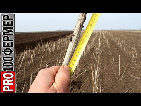 Видео: Весеннее дискование. Твердость непаханой земли.