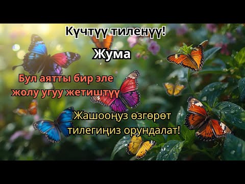 Видео: "Ризықтың есігін ашатын сүре!"