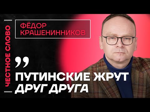 Видео: 🎙️ Честное слово с Федором Крашенинниковым