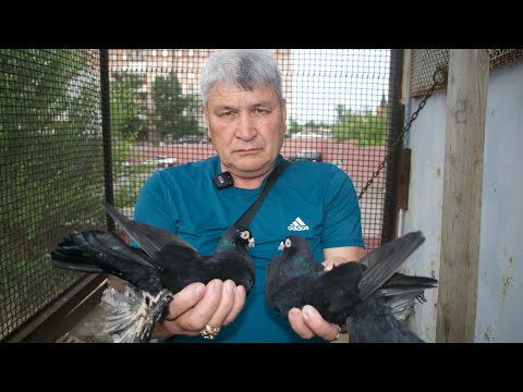 Видео: Гульсары и Сочи Байбулатова Ерболата Кенжезановича из Караганды.