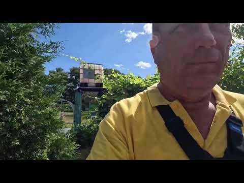 Видео: Отличное решение для забора из сетки рабицы.