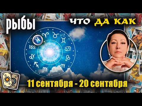 Видео: Рыбы | Прогноз с 11 по 20 сентября
