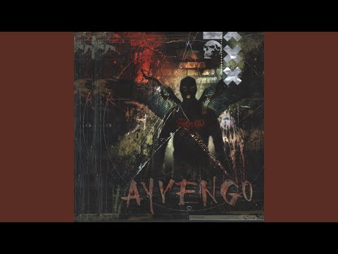 Видео: Репрезенты