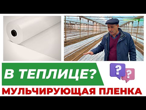 Видео: МУЛЬЧИРУЮЩАЯ ПЛЁНКА В ТЕПЛИЦЕ! #агробизнес #мульча #теплица