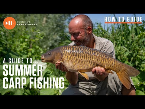 Видео: Руководство Адама Пеннинга по летней ловле карпа