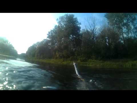 Видео: Подводная охота на Днепре