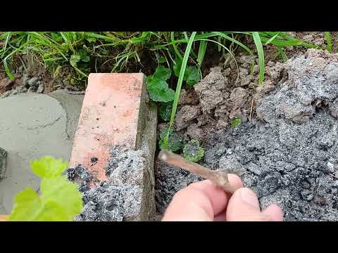 Видео: Виноград, осень.