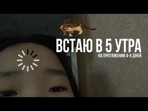 Видео: встаю в 5 утра на протяжении 4-х дней *влог*